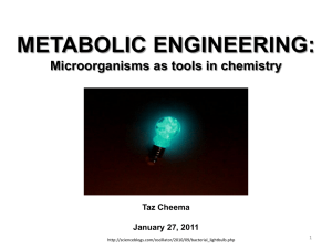 Metabolic Engineering: Microorganisms as Tools in Chemistry