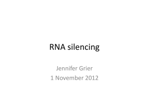 RNA silencing 2012