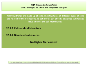 Knowledge Powerpoint - The Polesworth School