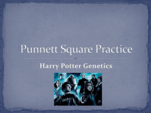 Punnett Square Practice (Harry Potter Genetics)