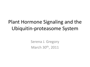 Plant Hormone Signaling - Wikispaces - Biol512
