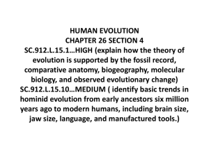 human evolution and the origin of life