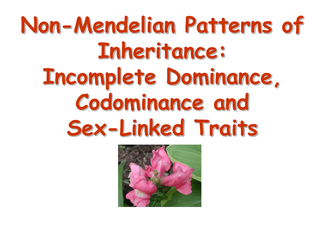 Non Mendelian Patterns Of Inheritance Incomplete Dominance