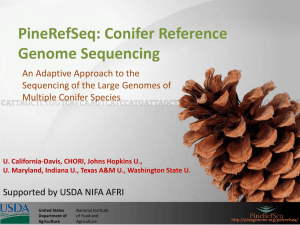 Introduction to PineRefSeq 2012