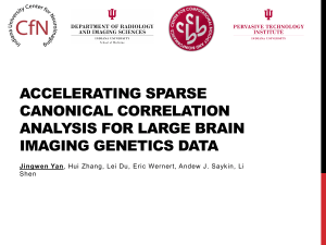 Accelerating Sparse Canonical Correlation Analysis for Large Brain