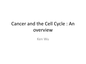 Ken Wu`s Cancer Cell Cycle Tutorial 26/03/12