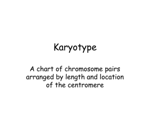 Karyotype - Granbury ISD