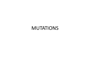 Mutations File