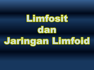 Jaringan limfoid dan maturasi limfosit