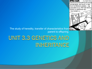 Unit 3.3 Genetics