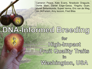 DNA-informed breeding for high-impact fruit quality