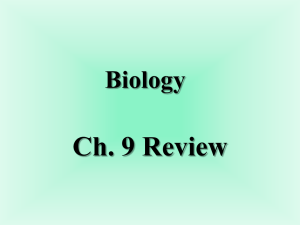 9Biology