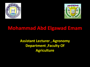 Mohammad Abd-Elgawad Emam - The Six International Conference
