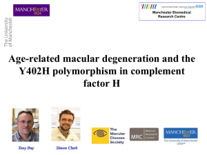 Age-related macular degeneration and the Y402H polymorphism in
