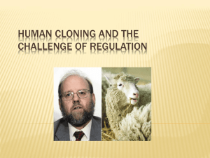 Human Cloning and the Challenge of Regulation