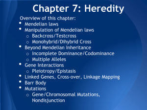Barron`s Ch 7 ppt Heredity