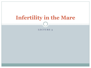 Lecture 5 - Infertility in the Mare