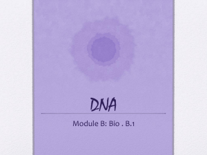 DNA - Quia