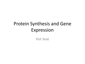 Hot Seat - Protein Synthesis