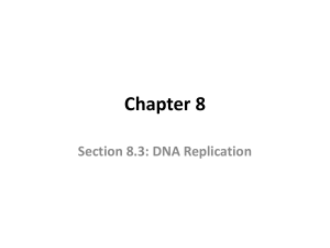 Section 8.3: DNA Replication