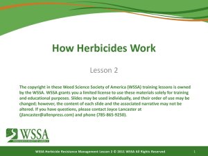 LESSON 2: How Herbicides Work? - Weed Science Society of America
