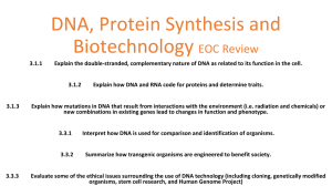 DNA, Protein Synthesis, Biotech review powerpoint