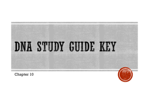 DNA Study Guide Key