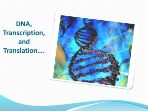 DNA, Transcription, and Translation*.