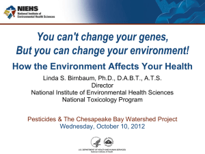 How the Environment Affects Your Health