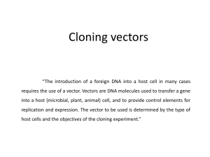 L2_Cloning vectors