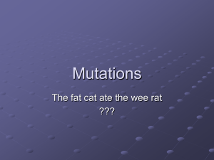 Types of Mutations