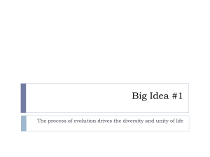 Big Idea #1 Evolution