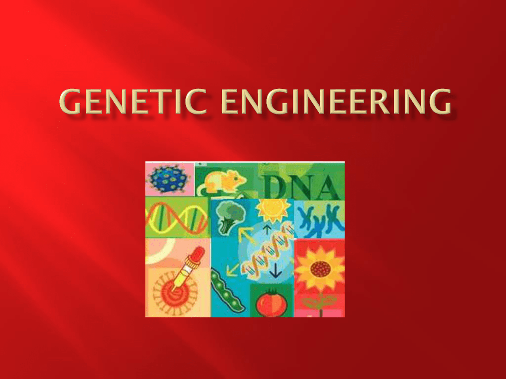 Genetic Engineering Ppt