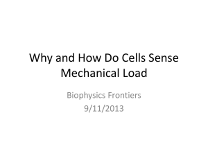 BME 527: Cell Mechanics and Mechanotransduction