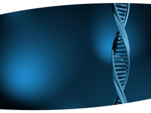 Unit 6. Week 1. DNA and RNA (2)