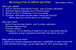 mRNA over-expression/rescue