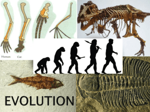 EVOLUTION BY MEANS OF NATURAL SELECTION