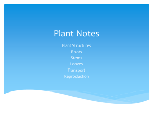 Plant Notes