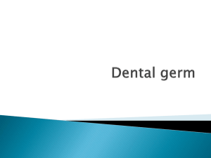 02_Dental_Germ_