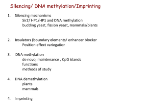 Silencing DNAmet-imprin 2012