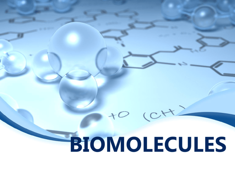 Biomolecule Ppt