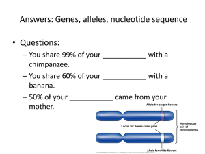 Answers: Genes, alleles, nucleotide sequence
