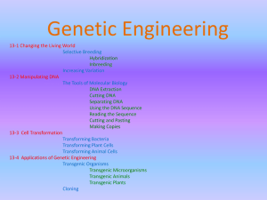 Genetic Engineering PowerPoint