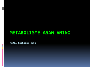 Kim Biol 12 Metabolisme Aa dan asam nukleat