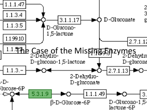 The Case of the Missing Enzymes