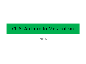 Ch8IntrotoMetabolism_Enzymes