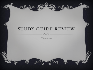 Study Guide Review