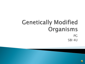 What are Genetically Modified Organisms (GMOs)?