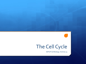 The Cell Cycle - Siegel Science