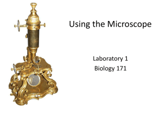 Lab 1 – Microscope and Cells